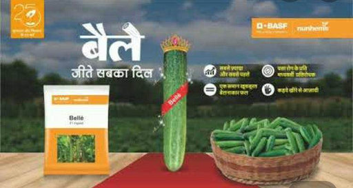 BELLE/बेल्ले F1 HYBRID CUCUMBER ( NUNHEMS) - Farmers Stop