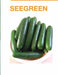 SEEGREEN/सीग्रीन F1 Hybrid Polyhouse Cucumber (Nunhems) - Farmers Stop