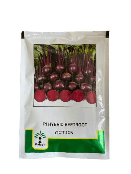 Action F1 Hybrid Beetroot (Kalash seeds) - Farmers Stop