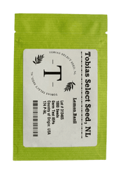 Lemon Basil (Tobia's Select Seed, USA) - Farmers Stop