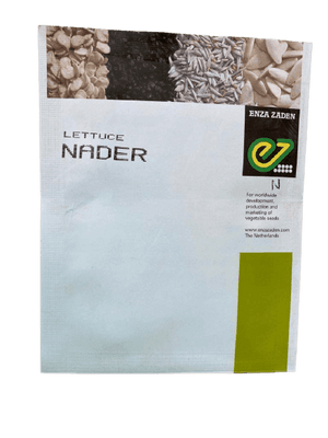 NADER F1 HYBRID LETTUCE (ENZA ZADEN ) - Farmers Stop
