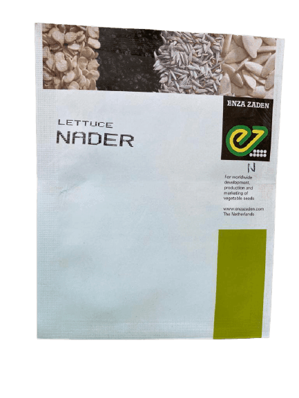 NADER F1 HYBRID LETTUCE (ENZA ZADEN ) - Farmers Stop