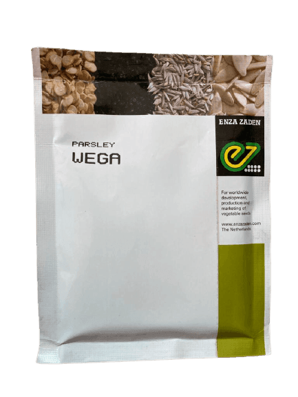 WEGA - F1 HYBRID PARSLEY (ENZA ZADEN)