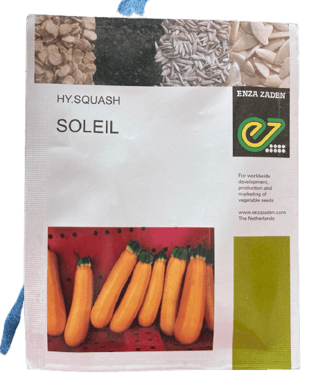 SOLEIL F1 HYBRID ZUCCHINI (ENZA ZADEN) - Farmers Stop