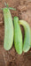 Superior Cucumber Green Long/ Kachra Melon Type - Farmers Stop