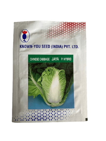 Jaya F1 hybrid Chinese Cabbage (Known - You) - Farmers Stop