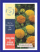 Hobglobin F1 Hybrid Dwarf Marigold (Garden Festival) - Farmers Stop