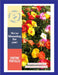 Sun Time Portulaca Mix (Garden Festival) - Farmers Stop