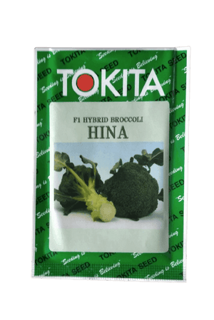 HINA F1 HYBRID BROCCOLI (TOKITA SEEDS) - Farmers Stop