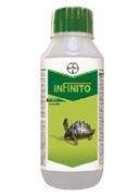 Infinito® Fluopicolide 5.56% w/w + Propamocarb Hydrochloride 55.6% w/w SC (Bayer India) - Farmers Stop
