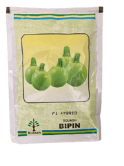 BIPIN F1 HYBRID SQUASH (KALASH SEEDS) - Farmers Stop