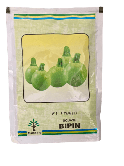 BIPIN F1 HYBRID SQUASH (KALASH SEEDS) - Farmers Stop
