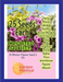 15 Winter Flower Seed's Kit (Garden Festival) - Farmers Stop