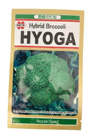 Hyoga F1 Hybrid Brocolli (Nozaki Seed, Japan) - Farmers Stop
