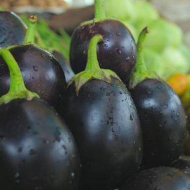 Bharta Baigan Hybrid Quality Seed (Garden Festival) - Farmers Stop