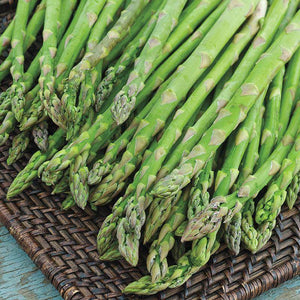 Asparagus F1 Hybrid Quality Seeds (Garden Festival) - Farmers Stop