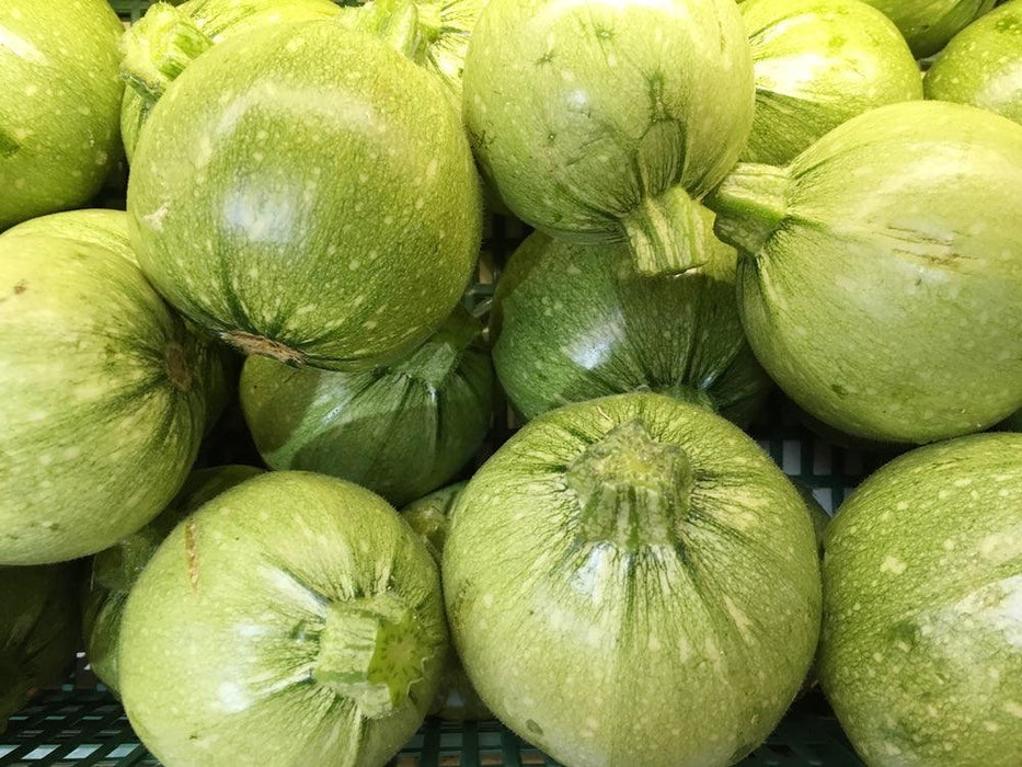Chappan Kaddu F1 Hybrid Quality Seeds  (Garden Festival) - Farmers Stop
