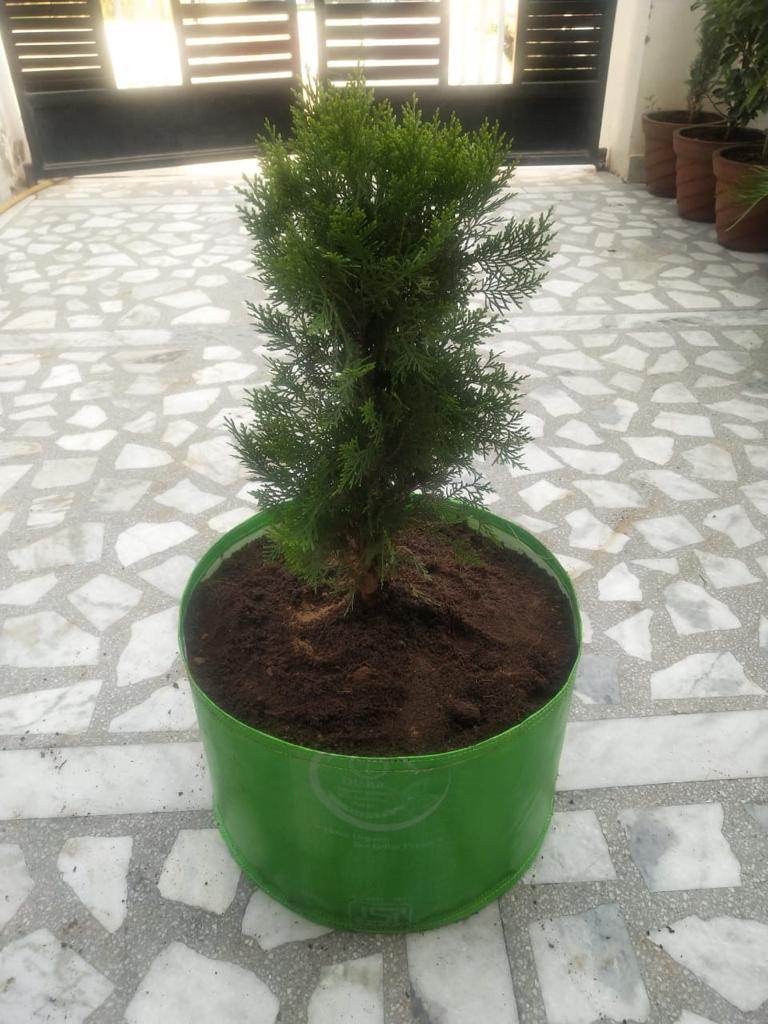 High Quality Grow Pot/ Grow Bag for Kitchen gardening / Roof Top Organic Farming - 250 HDPE GSM - Farmers Stop