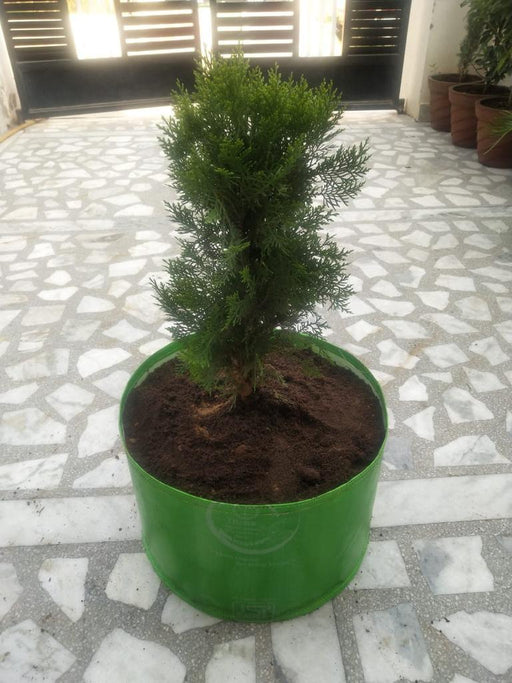High Quality Grow Pot/ Grow Bag for Kitchen gardening / Roof Top Organic Farming  - 250 HDPE GSM - Farmers Stop