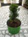 High Quality Grow Pot/ Grow Bag for Kitchen gardening / Roof Top Organic Farming  - 250 HDPE GSM - Farmers Stop