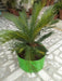 High Quality Grow Pot/ Grow Bag for Kitchen gardening / Roof Top Organic Farming  - 250 HDPE GSM - Farmers Stop
