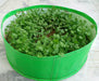 High Quality Grow Pot/ Grow Bag for Kitchen gardening / Roof Top Organic Farming  - 250 HDPE GSM - Farmers Stop