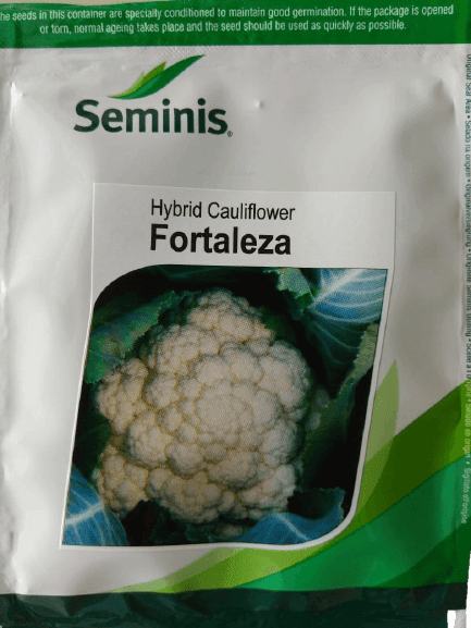 FORTALEZA F1 HYBRID CAULIFLOWER (SEMINIS) - Farmers Stop