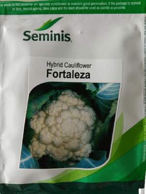 FORTALEZA F1 HYBRID CAULIFLOWER (SEMINIS) — product image 1