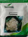 FORTALEZA F1 HYBRID CAULIFLOWER (SEMINIS) - Farmers Stop