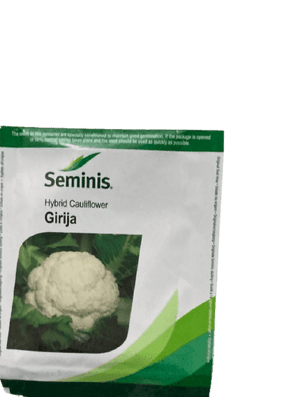 Girija/गिरिजा Cauliflower (Seminis) - Farmers Stop