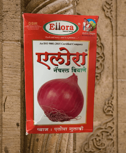 Ellora Gulabi Onion (Ellora Natural seeds) - Farmers Stop