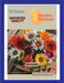 Bloom Gazania Mix (Garden Festival) - Farmers Stop
