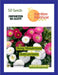 Daisy Wonderland Bellis perennis (Garden Festival) - Farmers Stop