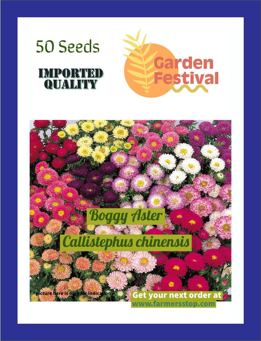 Boggy Aster Mix (Garden Festival) - Farmers Stop
