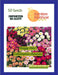 Boggy Aster Mix (Garden Festival) - Farmers Stop