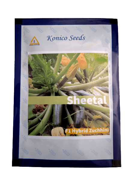 Sheetal F1 Hybrid Green Squash (Konico Seed India) - Farmers Stop