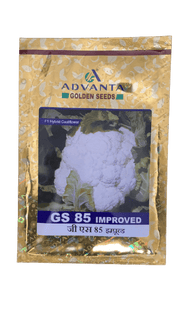 GS 85 IMPROVED F1 HYBRID CAULIFLOWER (ADVANTA ) - Farmers Stop