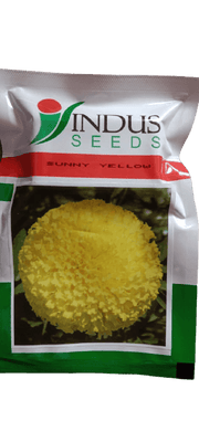 SUNNY YELLOW F1 HYBRID MARIGOLD (INDUS SEEDS) - Farmers Stop