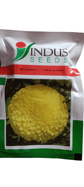 SUNNY YELLOW F1 HYBRID MARIGOLD (INDUS SEEDS) - Farmers Stop