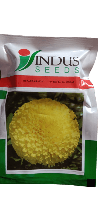 SUNNY YELLOW F1 HYBRID MARIGOLD (INDUS SEEDS) - Farmers Stop