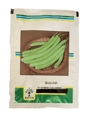 Kakdi Bhavna F1 Cucumber (Kalash seeds) - Farmers Stop