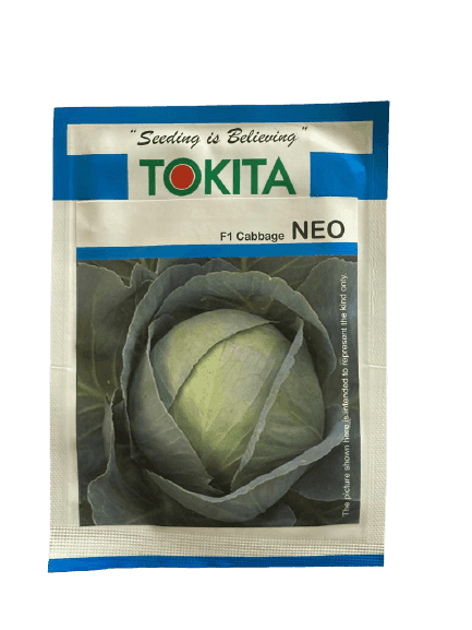 Neo F1 Hybrid Cabbage (Tokita Seeds) - Farmers Stop