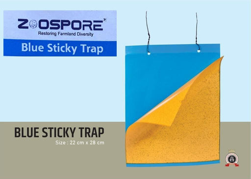 Insect Sticking Yellow & Blue Sheets (Zoospore Biological's) - Farmers Stop