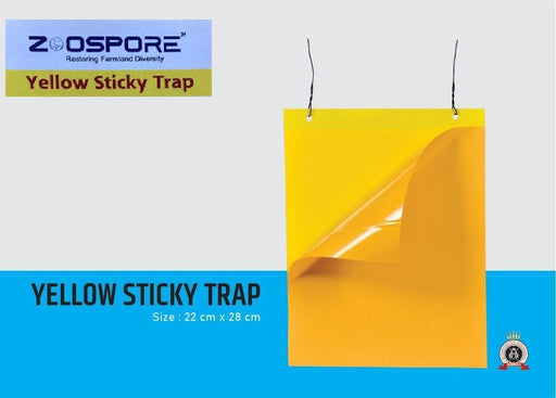 Insect Sticking Yellow & Blue Sheets (Zoospore Biological's) - Farmers Stop