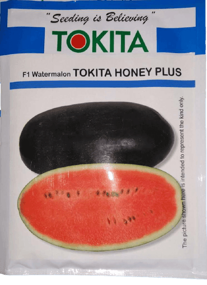 TOKITA HONEY PLUS F1 HYBRID WATERMELON (TOKITA SEEDS) - Farmers Stop