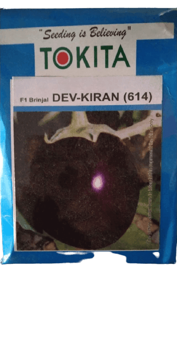 DEV-KIRAN(614) F1 HYBRID BRINJAL (TOKITA SEEDS) - Farmers Stop