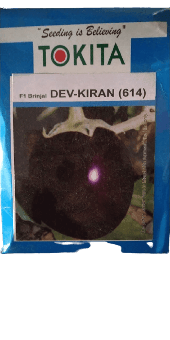 DEV-KIRAN(614) F1 HYBRID BRINJAL (TOKITA SEEDS) - Farmers Stop