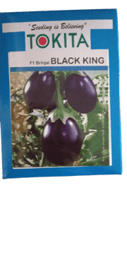 BLACK KING F1 HYBRID BRINJAL (TOKITA SEEDS) - Farmers Stop