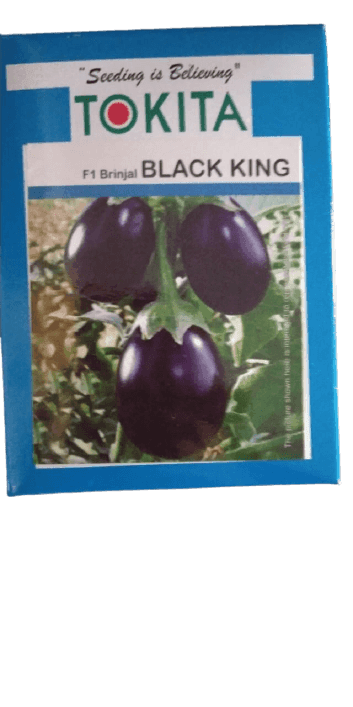 BLACK KING F1 HYBRID BRINJAL (TOKITA SEEDS) - Farmers Stop