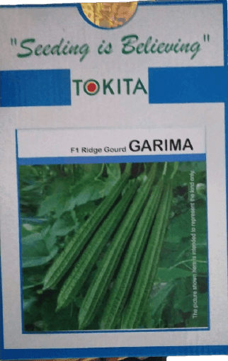 GARIMA F1 HYBRID RIDGEGOURD (TOKITA SEEDS) - Farmers Stop